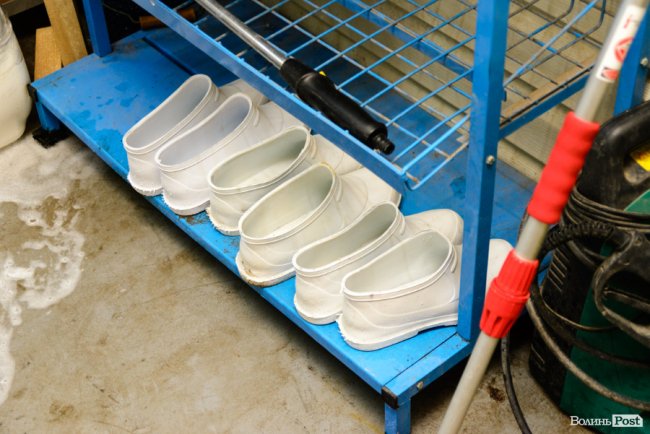 Зметуть весь бруд, як торнадо: де у Луцьку безпечно та без зайвих клопотів почистити килими. ФОТО*