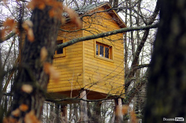 Лісівники показали, як розвивають мисливське господарство на Волині