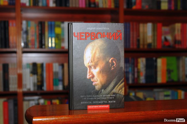 ТОП-5 книг: що читає луцька піарниця Катерина Дулапчій