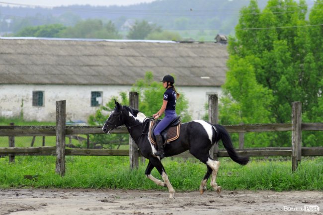 Екологічні стежки у волинському лісі – безліч відкриттів не лише для дітей
