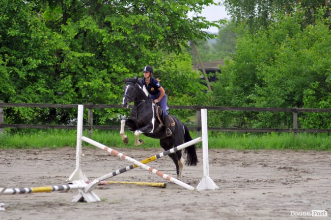 Екологічні стежки у волинському лісі – безліч відкриттів не лише для дітей