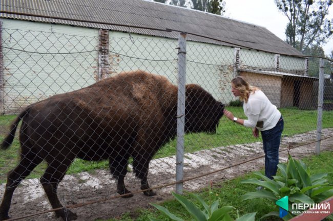 Домашній, затишний куточок: як живеться луцькому зоопарку