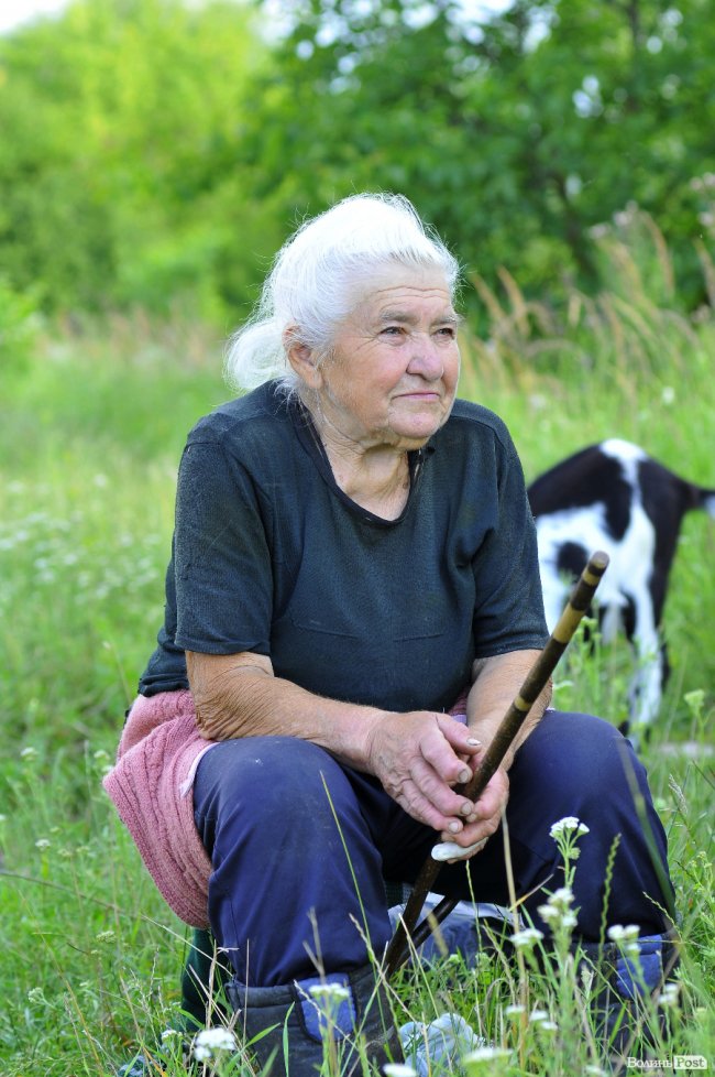 «Вони, як люди - кожна зі своїм характером», - луцька «козяча мама»