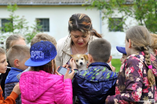 Екологічні стежки у волинському лісі – безліч відкриттів не лише для дітей