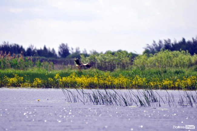 Туристичні принади Волині: лабіринтами «Амазонки»