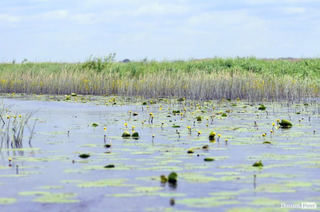 Туристичні принади Волині: лабіринтами «Амазонки»