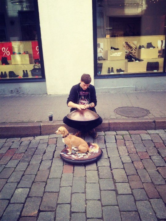 «Нотатки мандрівниці» Анни Авраменко: В Естонії швидкісний Wi-Fi навіть у лісі