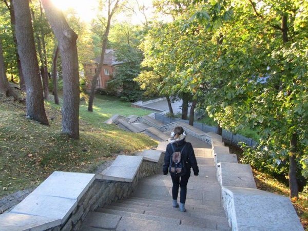 «Нотатки мандрівниці» Анни Авраменко: В Естонії швидкісний Wi-Fi навіть у лісі