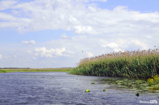 Туристичні принади Волині: лабіринтами «Амазонки»