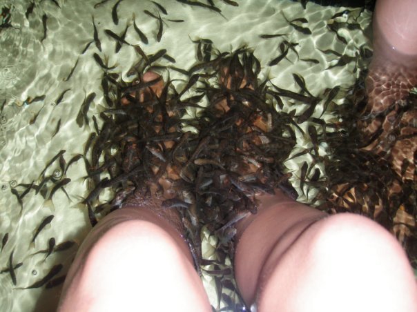 «Нотатки мандрівниці» Анни Басманової-Тріль: Я сумую за ресторанами на 63-му поверсі, де місто - на долоні