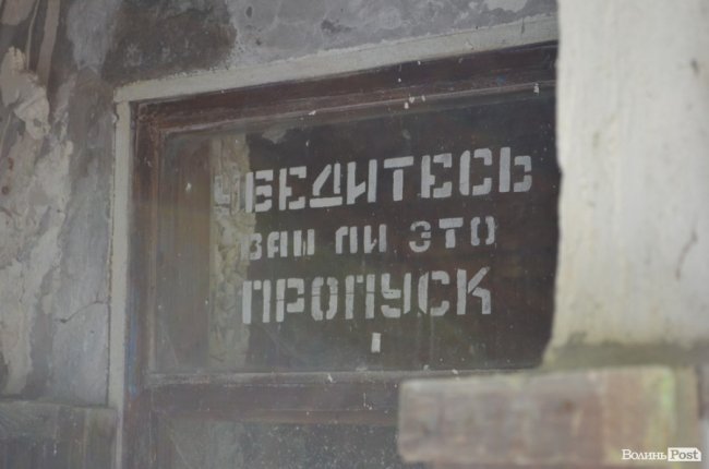 Життя на місці смерті: як зону відчуження «захоплює» ліс