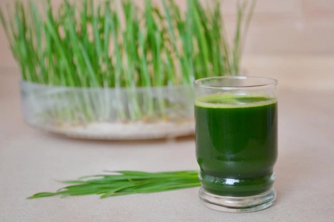 Лучанка створила вдома маленьку ферму і вирощує новомодний мікрогрін. ФОТО