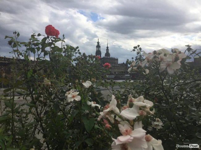 «Нотатки мандрівниці» Елі Серкожаєвої: Дрезден