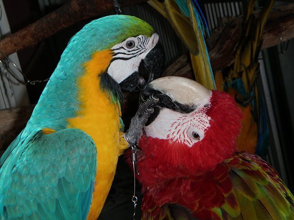 «Нотатки мандрівниці» Анни Басманової-Тріль: Я сумую за ресторанами на 63-му поверсі, де місто - на долоні