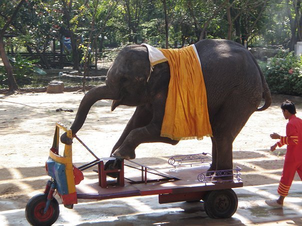 «Нотатки мандрівниці» Анни Басманової-Тріль: Я сумую за ресторанами на 63-му поверсі, де місто - на долоні