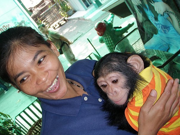 «Нотатки мандрівниці» Анни Басманової-Тріль: Я сумую за ресторанами на 63-му поверсі, де місто - на долоні