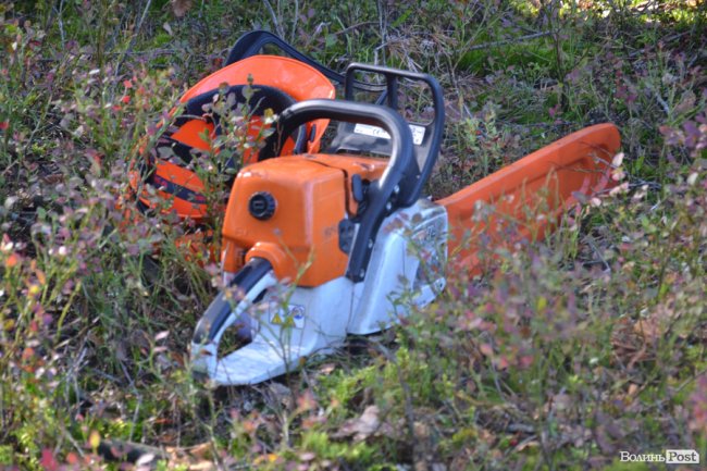 Волинські лісники б'ють на сполох: через шкідника відмирає сосновий ліс