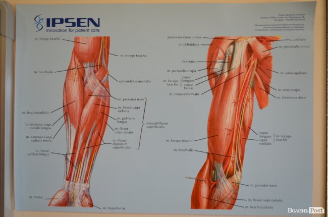 Місце, де дарують надію: як біля Луцька реабілітують людей із важкими травмами 