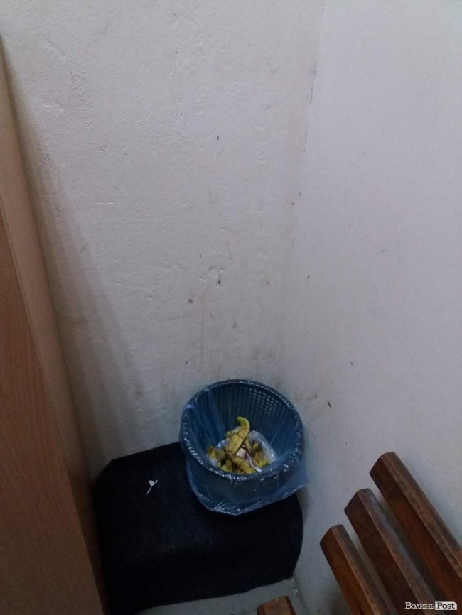 «ІнспекторGym». «Sport Time»: багато вазонів і павутиння