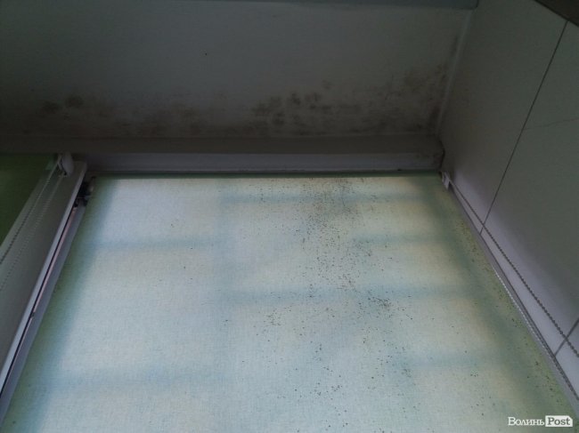 «ІнспекторGym». «СтанОК»: дошка рекордів і пліснява