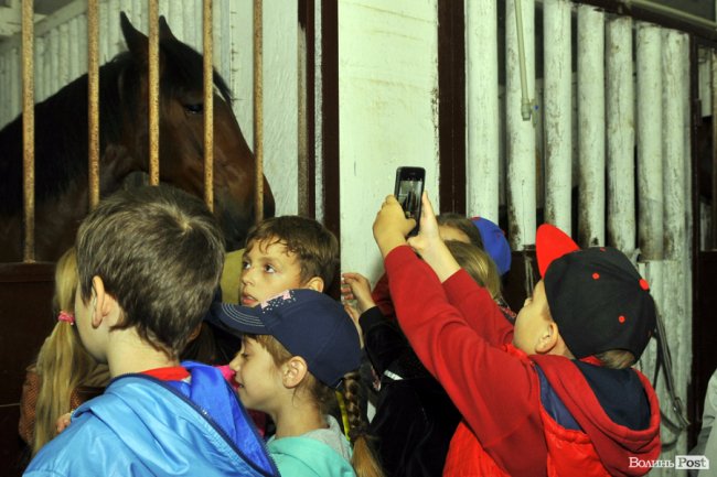 Екологічні стежки у волинському лісі – безліч відкриттів не лише для дітей