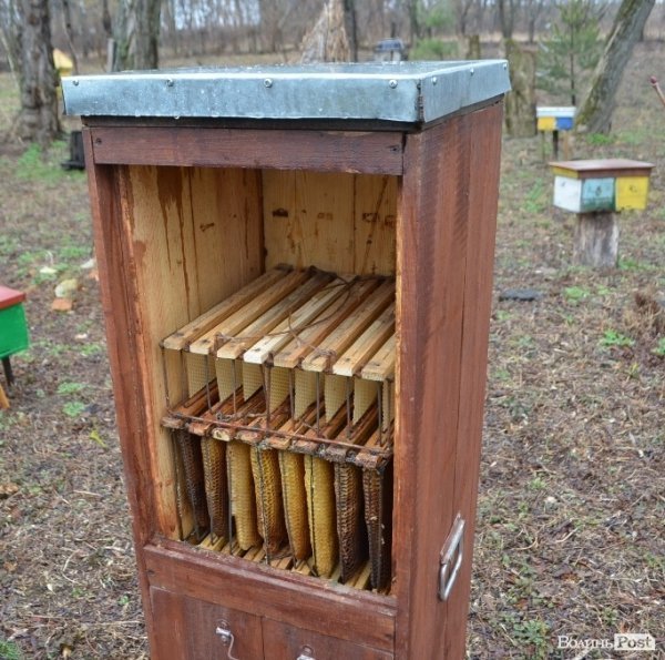 Бджільництво по-волинськи: луцькі пасічники створили «музей меду»