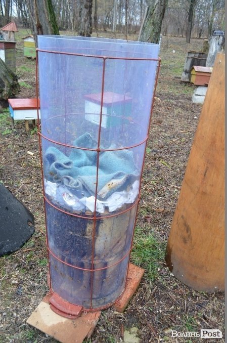 Оглядовий вулик