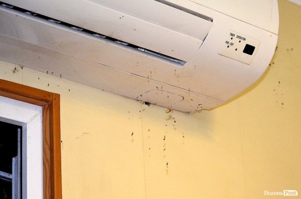 Грабіж «під кайфом» та полювання «на живця»: одна ніч із життя Луцька