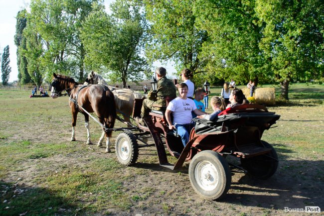Знайомили з кіньми, катали на кареті і вчили малювати: під Луцьком – яскраве свято для «сонячних» діток. ФОТОРЕПОРТАЖ 
