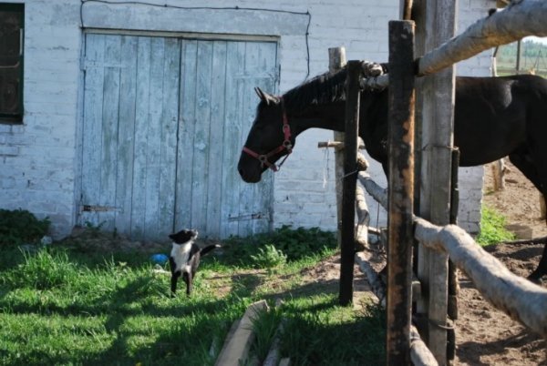 Літо у розпалі: як найкраще відпочити*