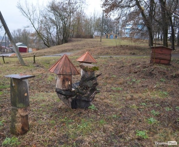 Бджільництво по-волинськи: луцькі пасічники створили «музей меду»