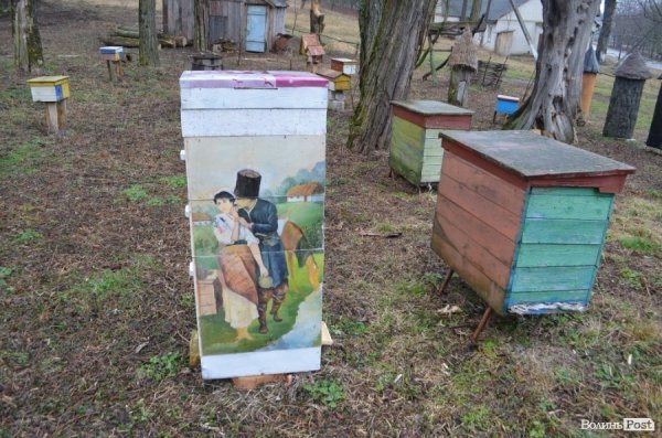 Бджільництво по-волинськи: луцькі пасічники створили «музей меду»