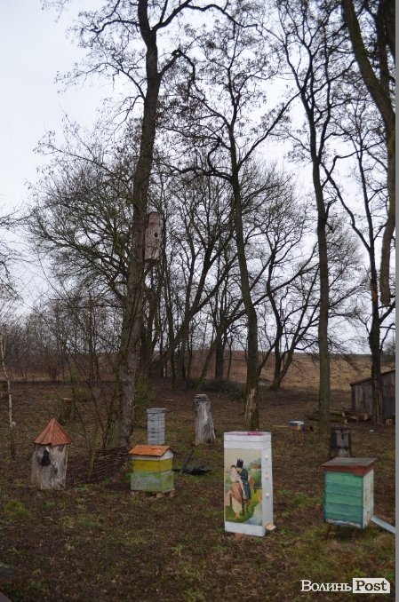Бджільництво по-волинськи: луцькі пасічники створили «музей меду»