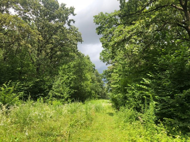 Експерти закликають не купувати житло біля автомагістралей* 