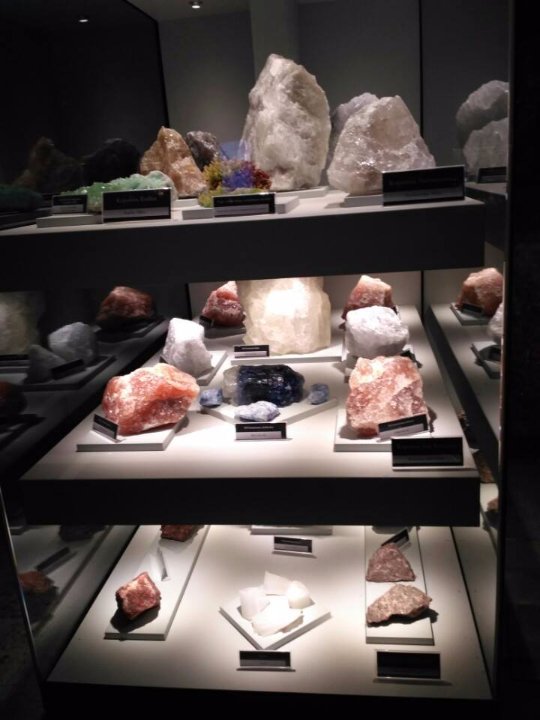 «Нотатки мандрівника» Віктора Павлюка: 9 країн за 100 доларів