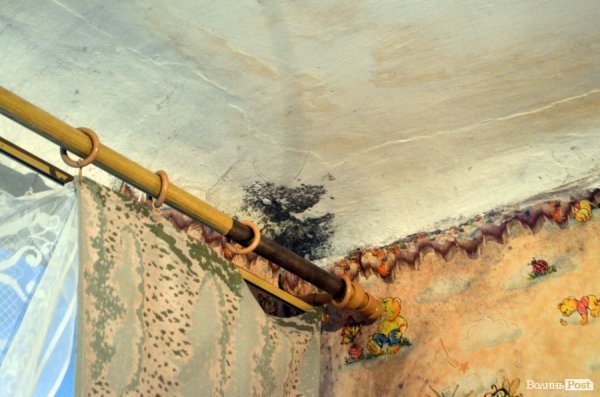 Студентський ревізор: грибок, вікінги і контрасти у гуртожитку №2