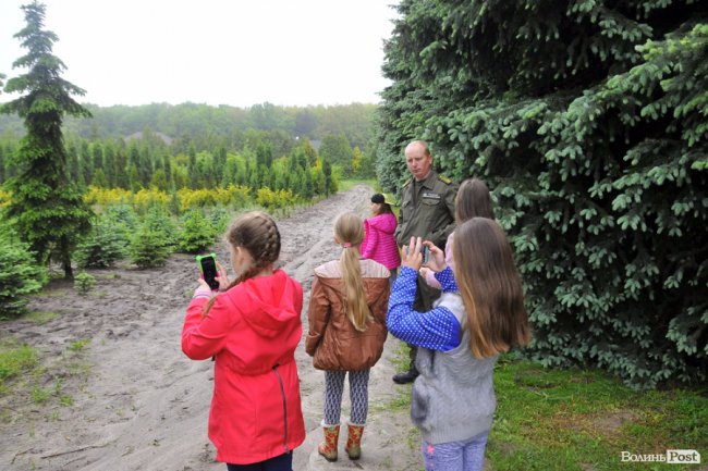 Екологічні стежки у волинському лісі – безліч відкриттів не лише для дітей