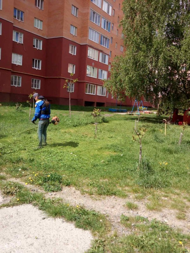 Як ОСББ у Луцьку можуть попередити виникнення сезонної алергії в мешканців багатоповерхівок*