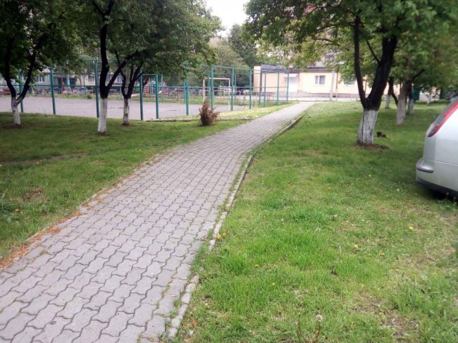 Як ОСББ у Луцьку можуть попередити виникнення сезонної алергії в мешканців багатоповерхівок*