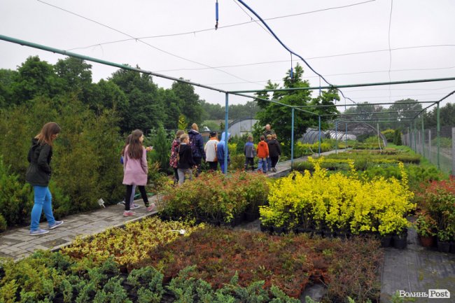 Екологічні стежки у волинському лісі – безліч відкриттів не лише для дітей