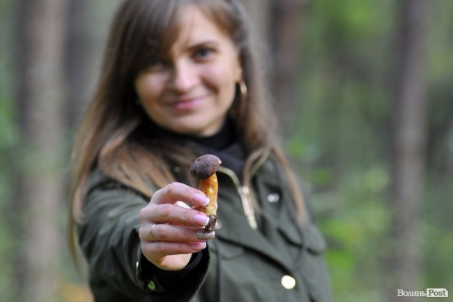 Маневицькими грибами смакуватиме Європа