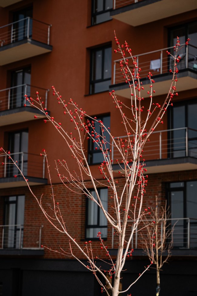 Як змінюються сучасні житлові комплекси: просторі двори, озеленення, нетипові дитячі майданчики