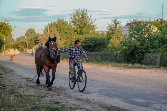 Ліс був завжди: історія волинського села, де все міряють ягодами