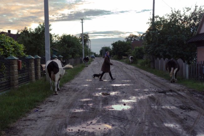 Ліс був завжди: історія волинського села, де все міряють ягодами