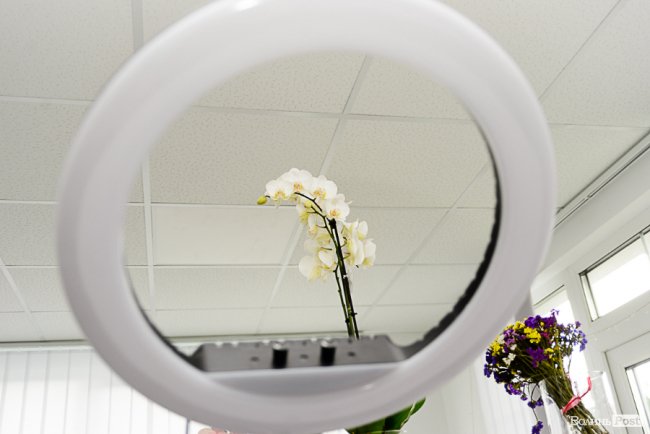 Молодість та краса: у Луцьку б’юті-студія надає інноваційні послуги для жінок*