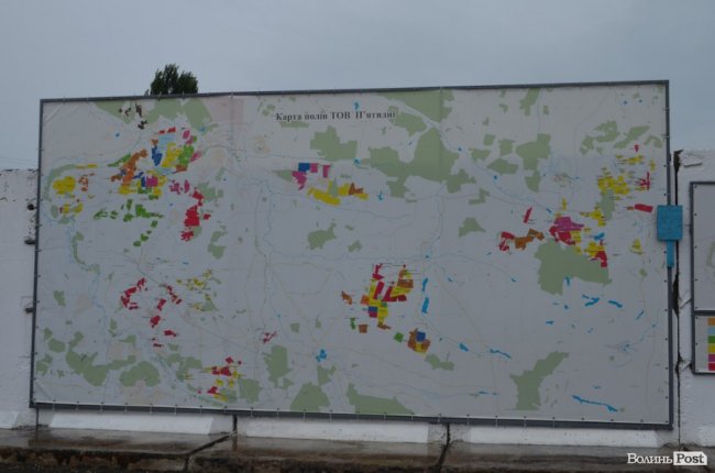 Талант бути простим: як господарює аграрій Валерій Діброва