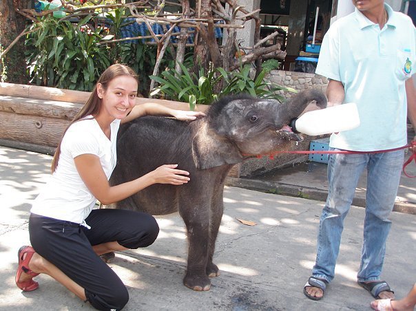«Нотатки мандрівниці» Анни Басманової-Тріль: Я сумую за ресторанами на 63-му поверсі, де місто - на долоні