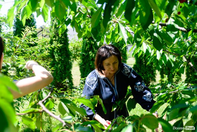   Місце сили Ірини Констанкевич. ІНТЕРВ’Ю ВДОМА У НАРОДНОЇ ДЕПУТАТКИ. ФОТО