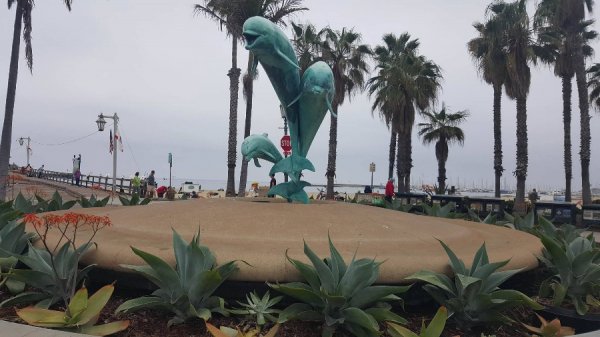 «Нотатки мандрівниці» Юлії Євпак: Санта-Барбара, бабусі в Instagram, качка в Білому домі