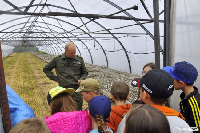 Екологічні стежки у волинському лісі – безліч відкриттів не лише для дітей